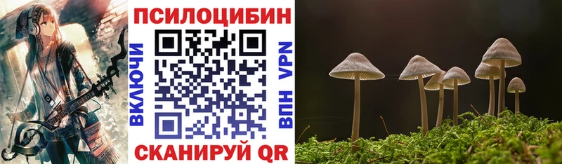 Галлюциногенные грибы Magic Shrooms  МЕГА ТОР  Ессентуки 